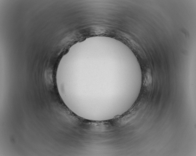 X0000112050524200908251001