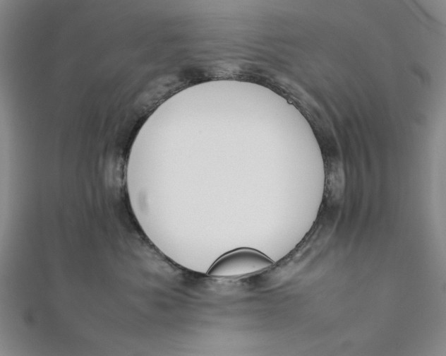 X0000112050525200908251001