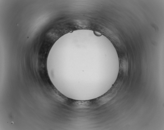 X0000112050526200908251001