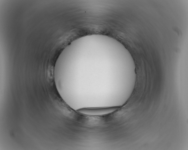 X0000112050528200908251001