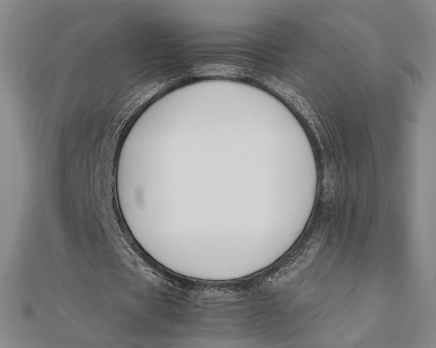 X0000112050529200908251001