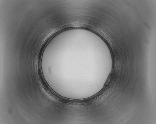 X0000112050530200908251001