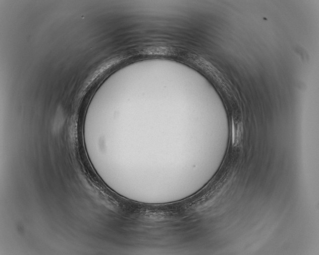 X0000112050531200908251001