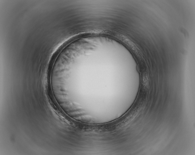 X0000112050532200908251001