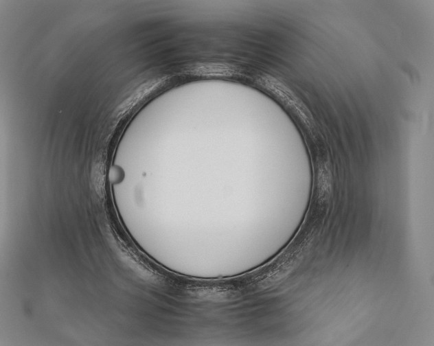 X0000112050533200908251001