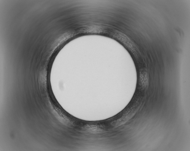 X0000112050534200908251001