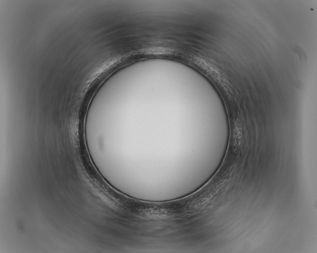 X0000112050535200908251001