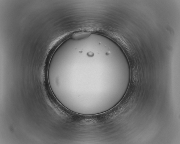 X0000112050536200908251001