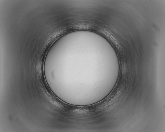 X0000112050537200908251001