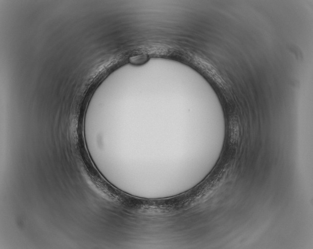 X0000112050538200908251001