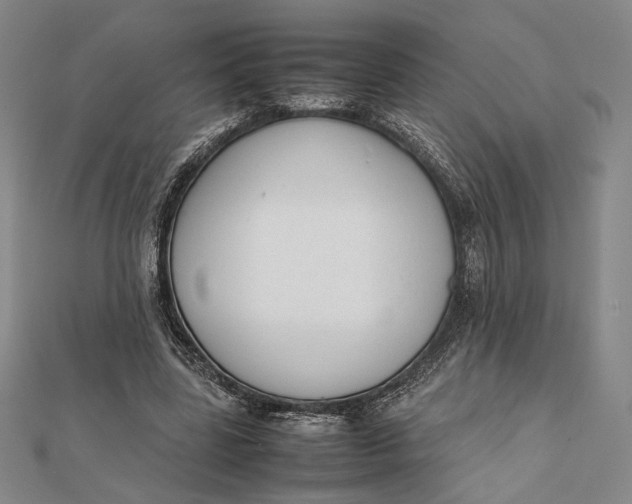 X0000112050539200908251001