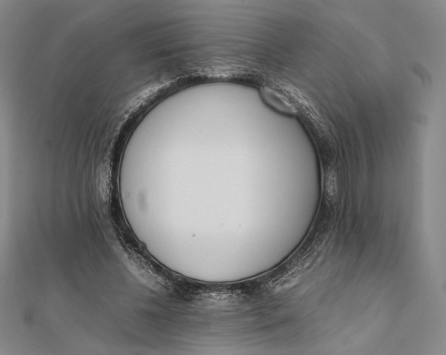 X0000112050540200908251001