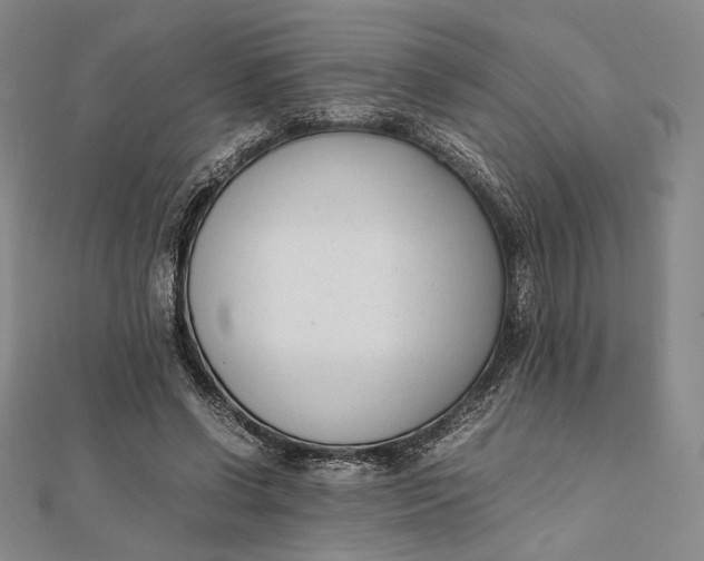 X0000112050542200908251001