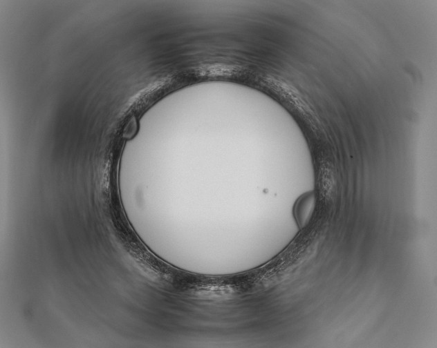 X0000112050543200908251001