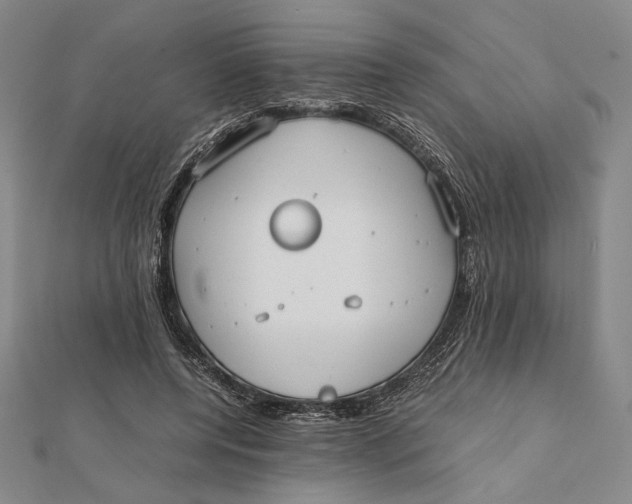 X0000112050544200908251001