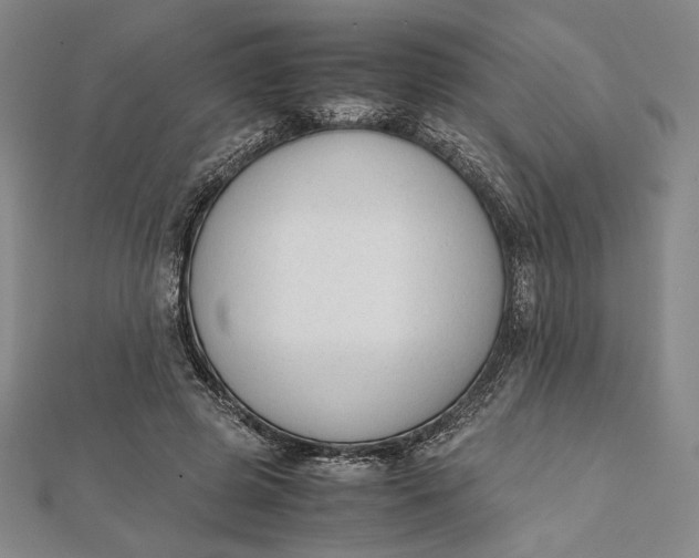 X0000112050545200908251001