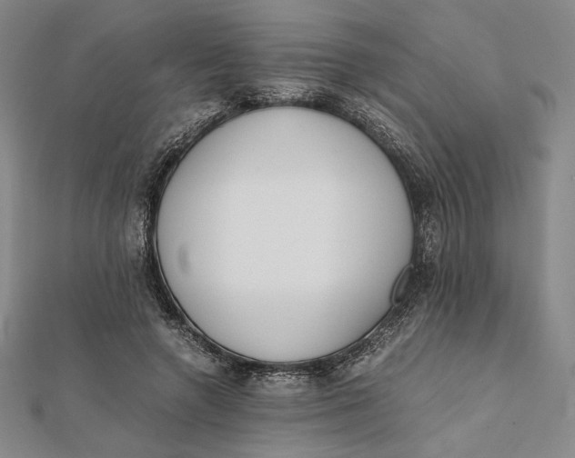 X0000112050546200908251001