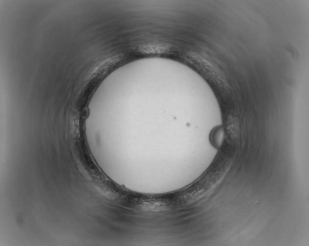 X0000112050547200908251001