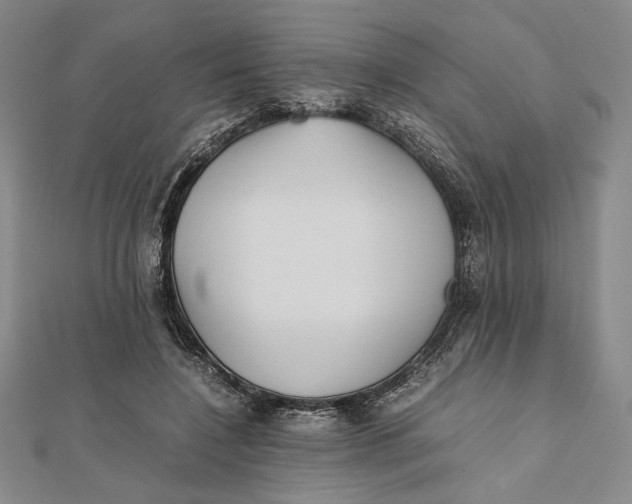 X0000112050548200908251001