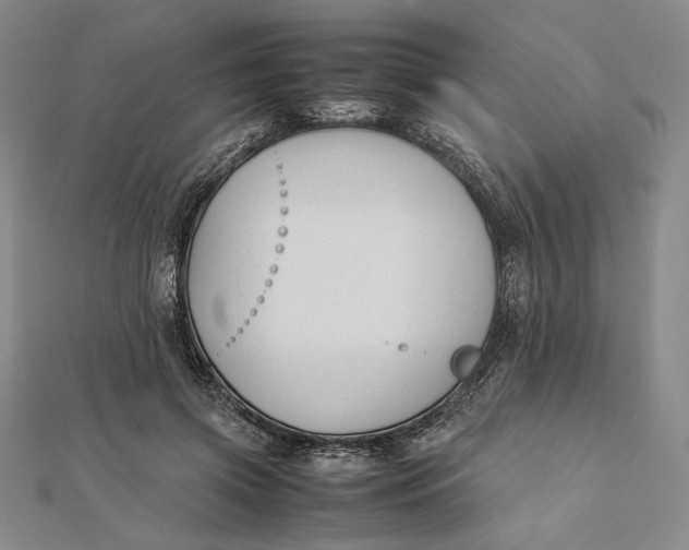 X0000112050549200908251001