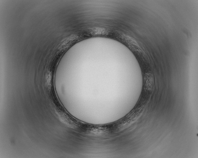 X0000112050550200908251001