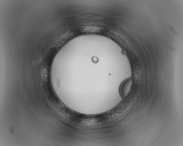 X0000112050551200908251001