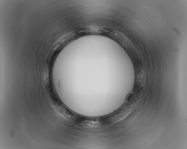 X0000112050552200908251001