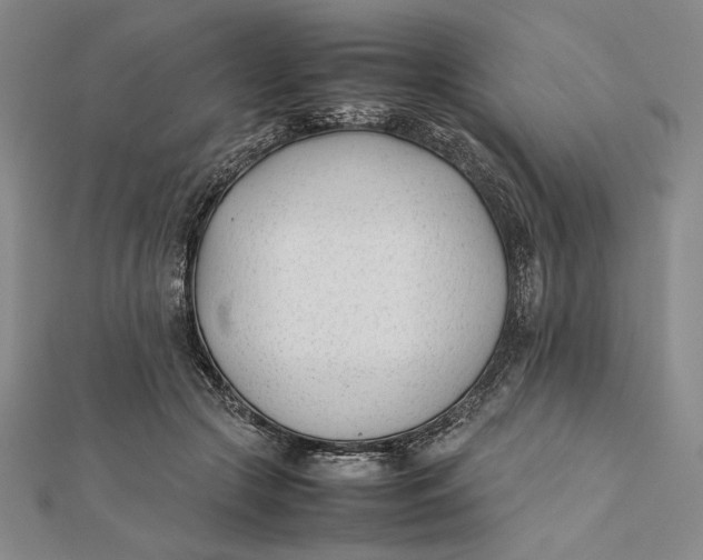 X0000112050553200908251001