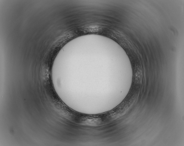 X0000112050555200908251001