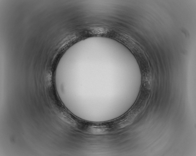 X0000112050556200908251001