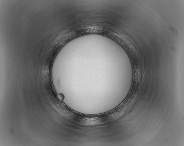 X0000112050557200908251001