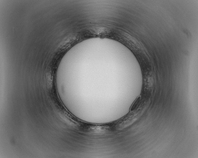 X0000112050558200908251001