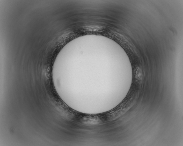 X0000112050559200908251001