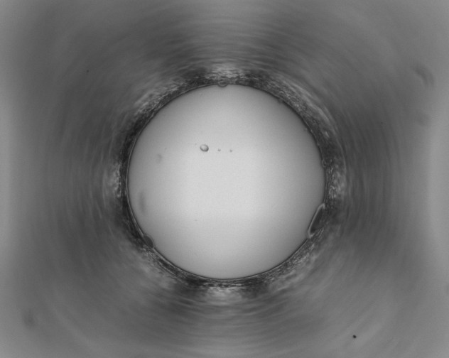 X0000112050560200908251001