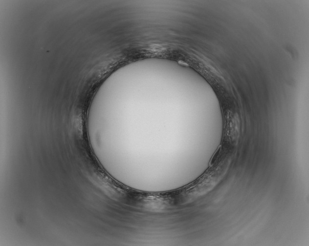 X0000112050562200908251001