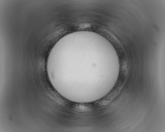 X0000112050565200908251001