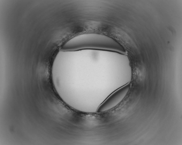 X0000112050566200908251001