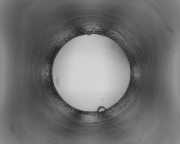 X0000112050567200908251001