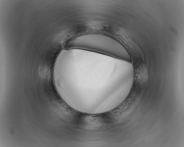 X0000112050568200908251001