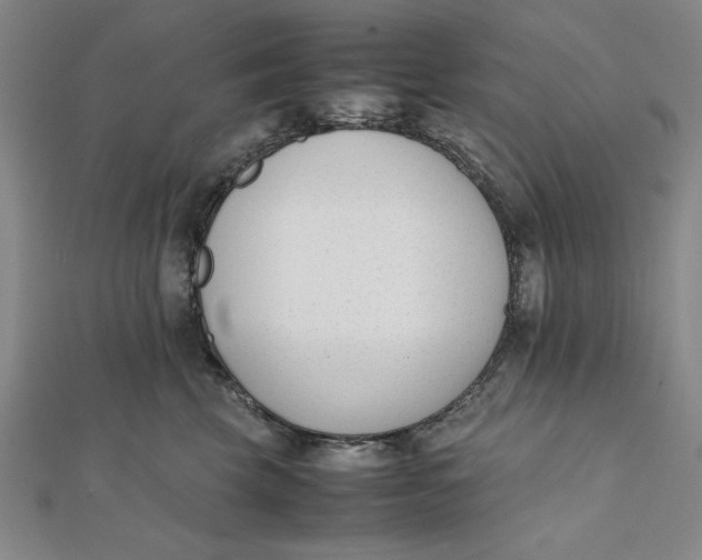 X0000112050569200908251001