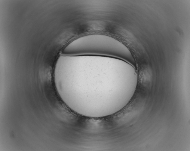 X0000112050570200908251001