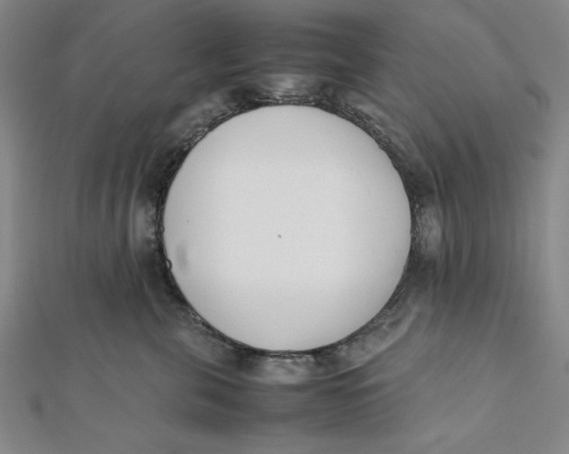 X0000112050571200908251001