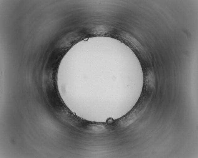 X0000112050572200908251001