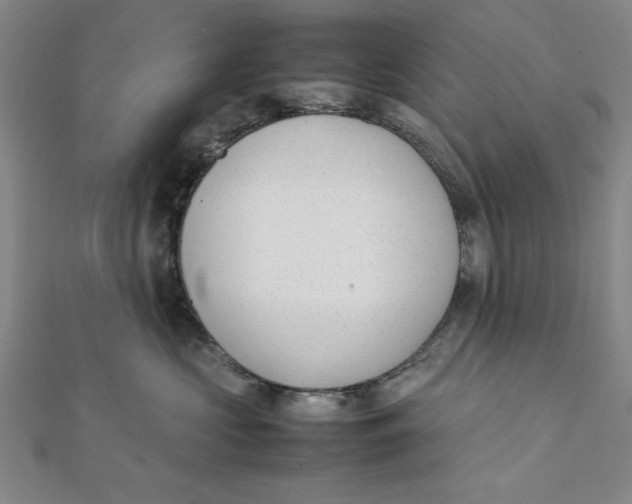 X0000112050573200908251001