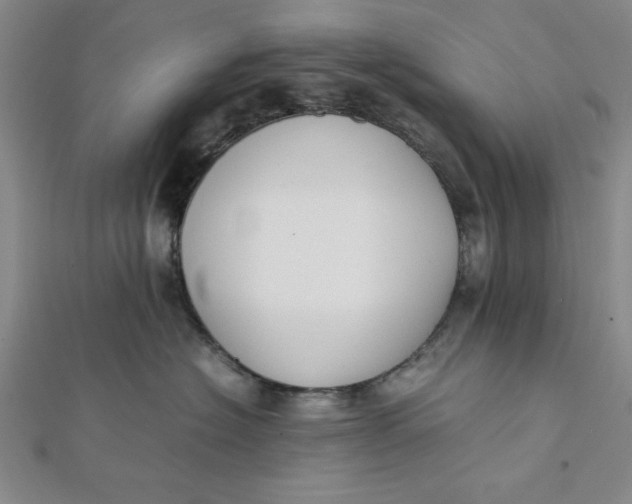 X0000112050574200908251001