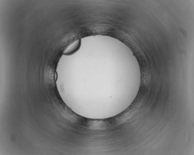 X0000112050575200908251001