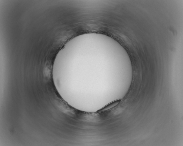 X0000112050576200908251001