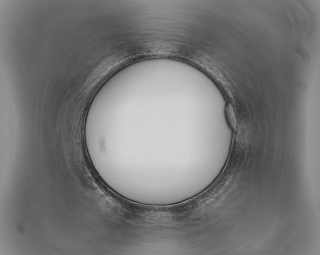 X0000112050577200908251001