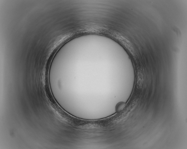 X0000112050578200908251001