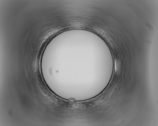 X0000112050579200908251001